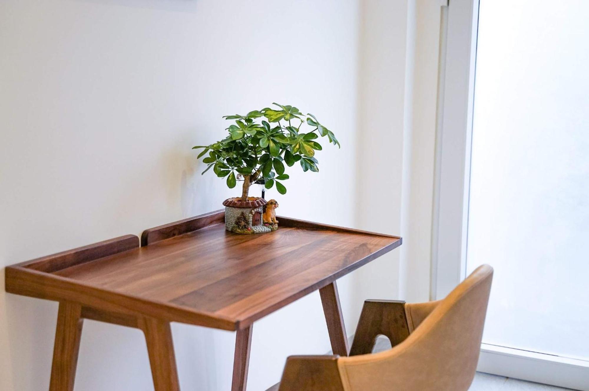 Local White House - Ecofriendly Homestay Đà Nẵng Extérieur photo