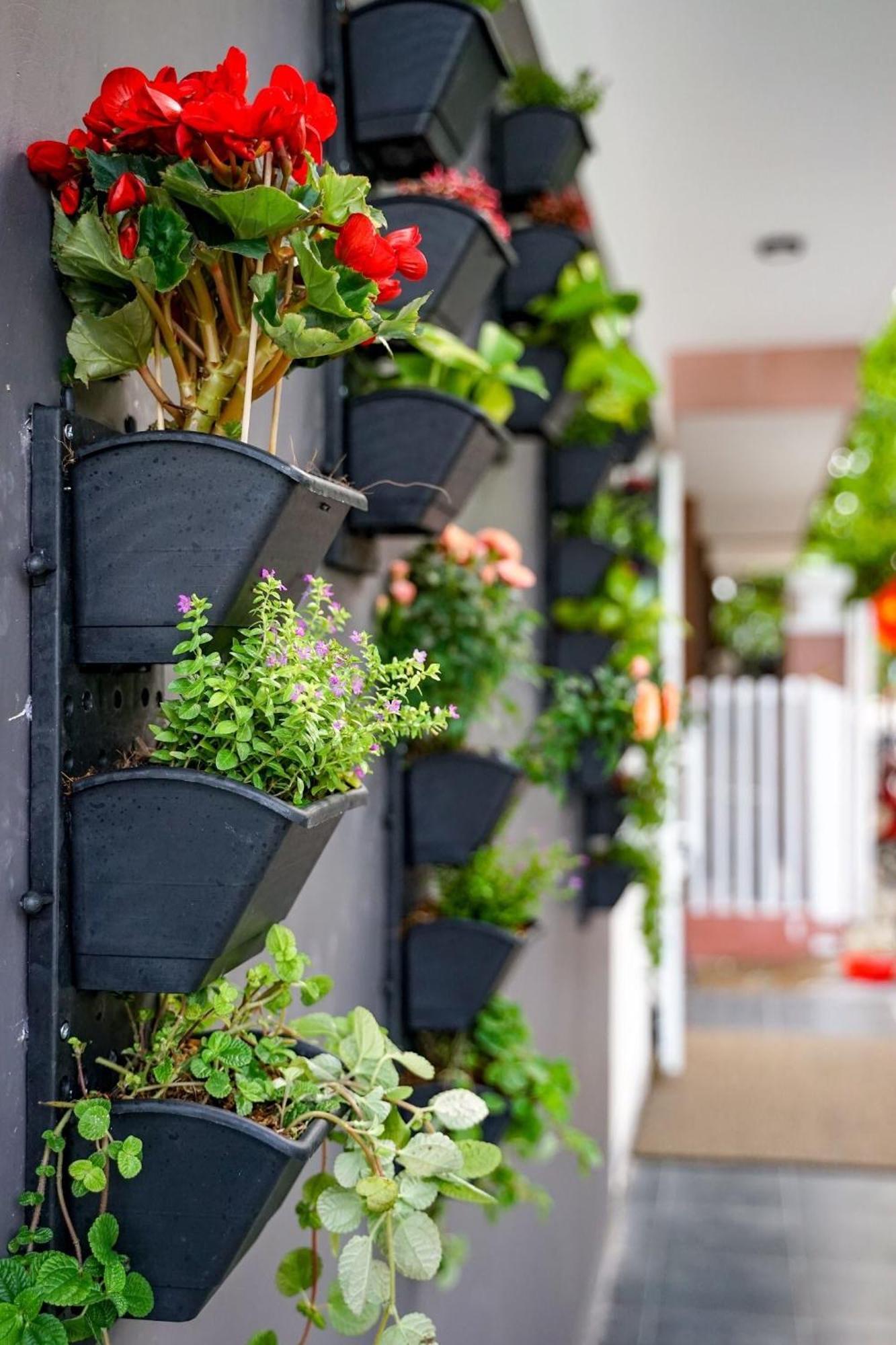 Local White House - Ecofriendly Homestay Đà Nẵng Extérieur photo