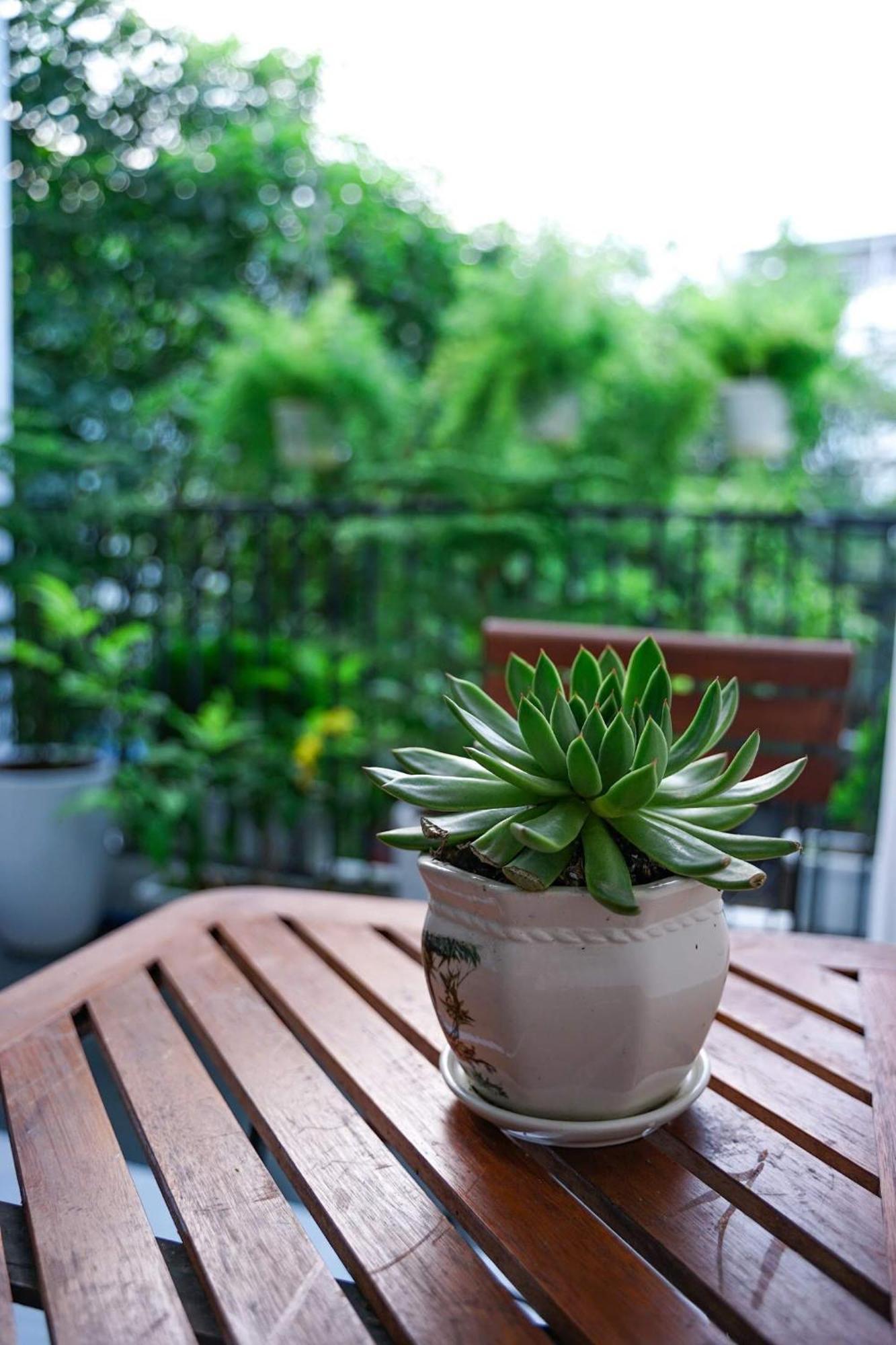 Local White House - Ecofriendly Homestay Đà Nẵng Extérieur photo