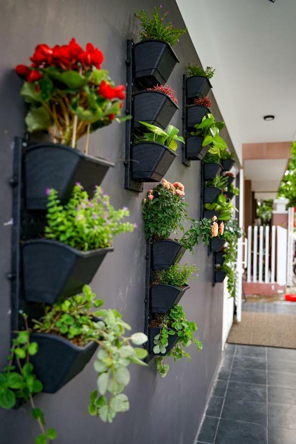 Local White House - Ecofriendly Homestay Đà Nẵng Extérieur photo